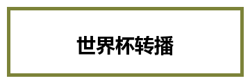 世界杯转播
